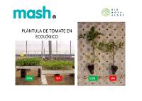 fotosaplicacionmash19 PDF TOMATE